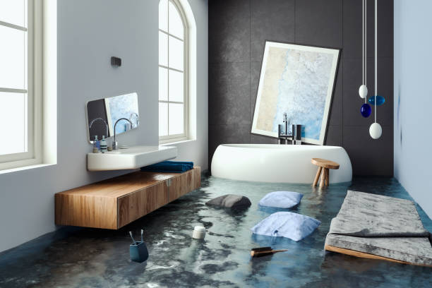 Best Mold removal after water damage  in Herlong, CA