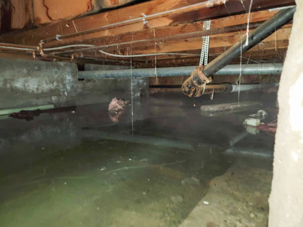 Best 24-hour water damage restoration  in Herlong, CA