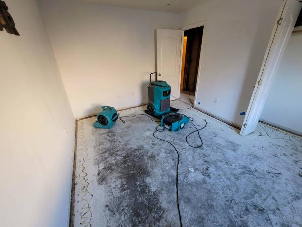 Best Ceiling water damage repair  in Herlong, CA