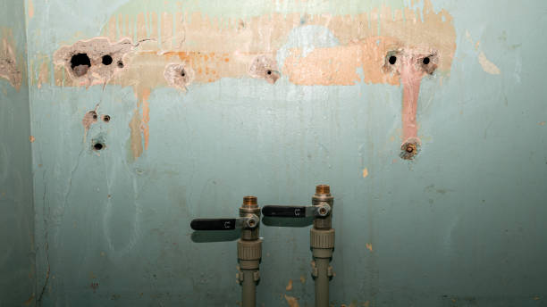 Best Emergency water extraction  in Herlong, CA
