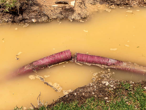 Best Water damage cleanup near me  in Herlong, CA