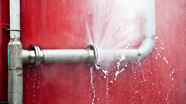Best Flood damage cleanup  in Herlong, CA